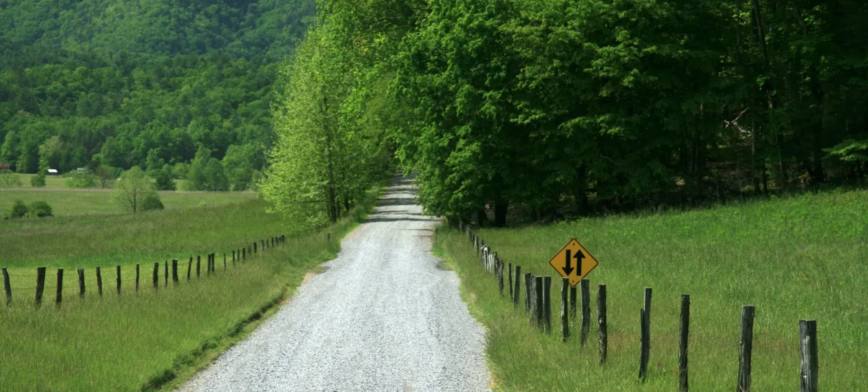 Lifelong Recovery Tennessee-Based Resources